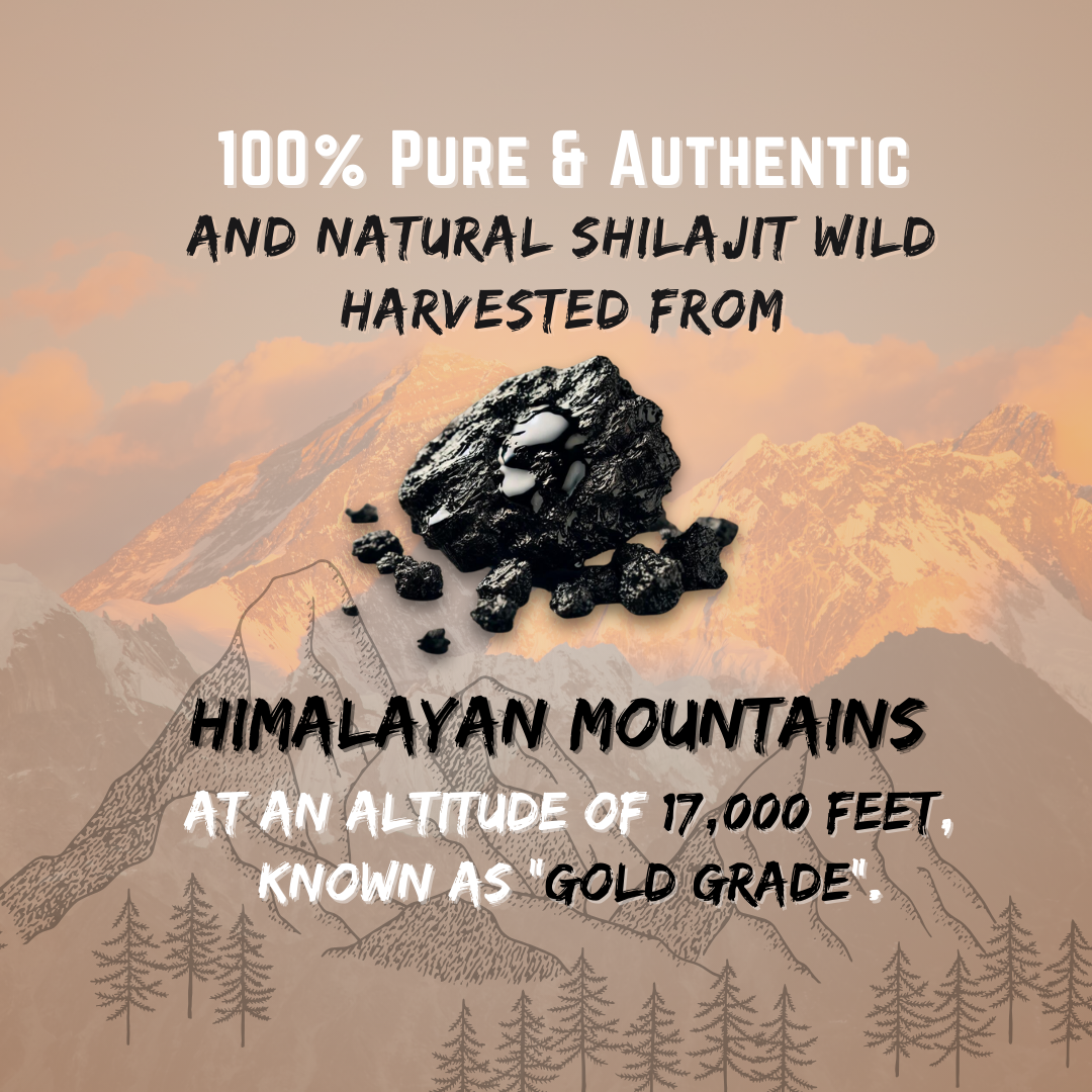 Premium Himalayan Hunzai Shilajit Resin